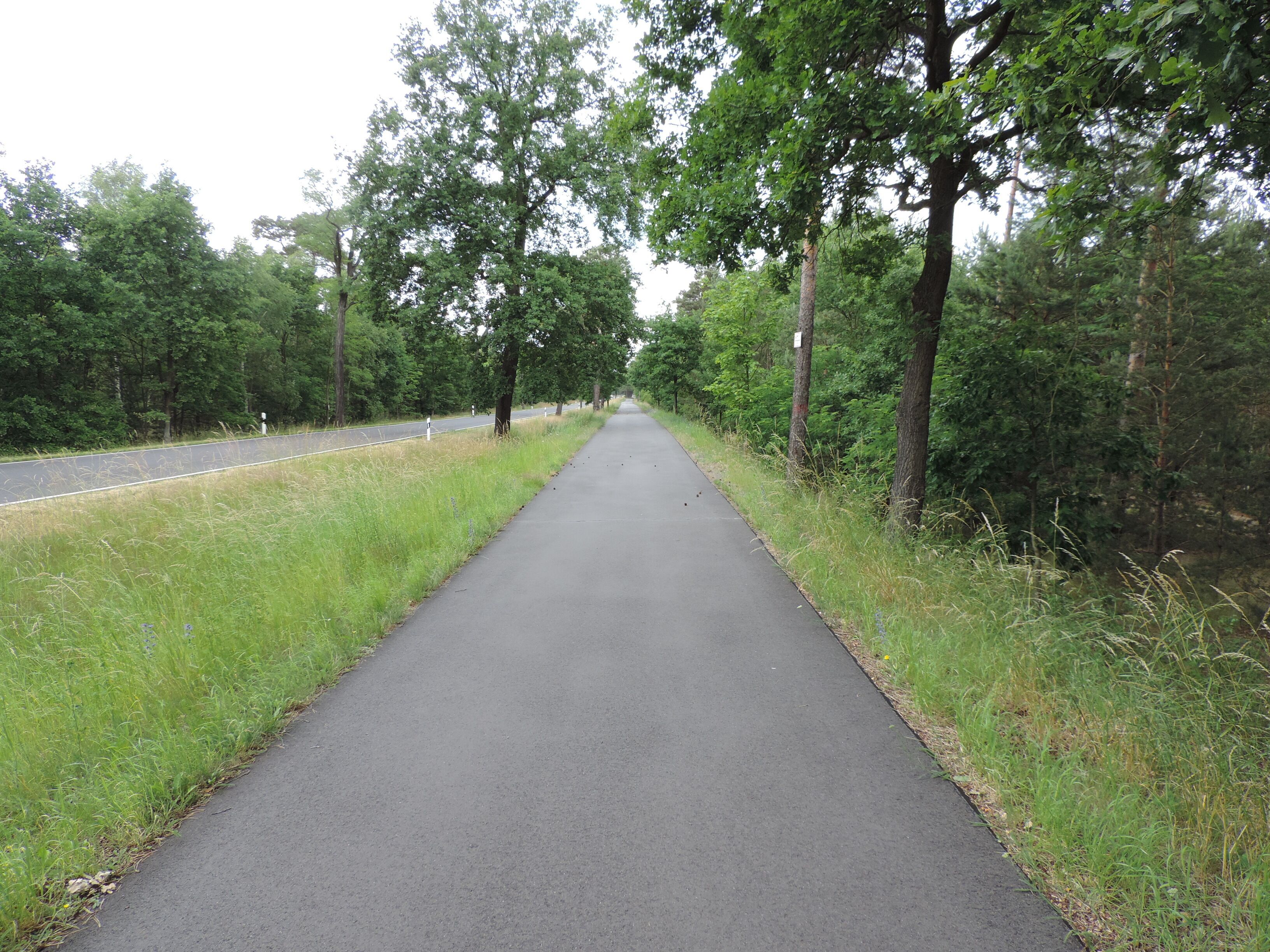 Fläming-Skate RK 1 zwischen Ließen und Stülpe