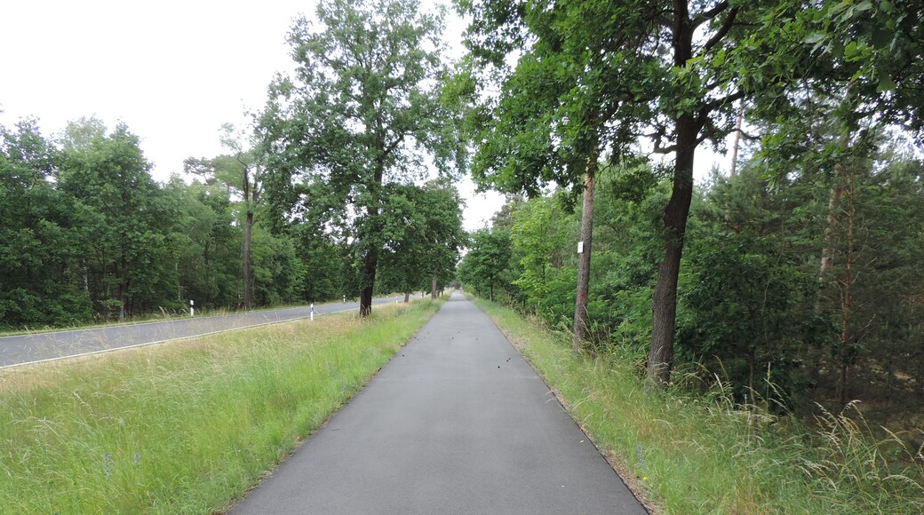 Flรคming-Skate RK 1 zwischen Lieรen und Stรผlpe