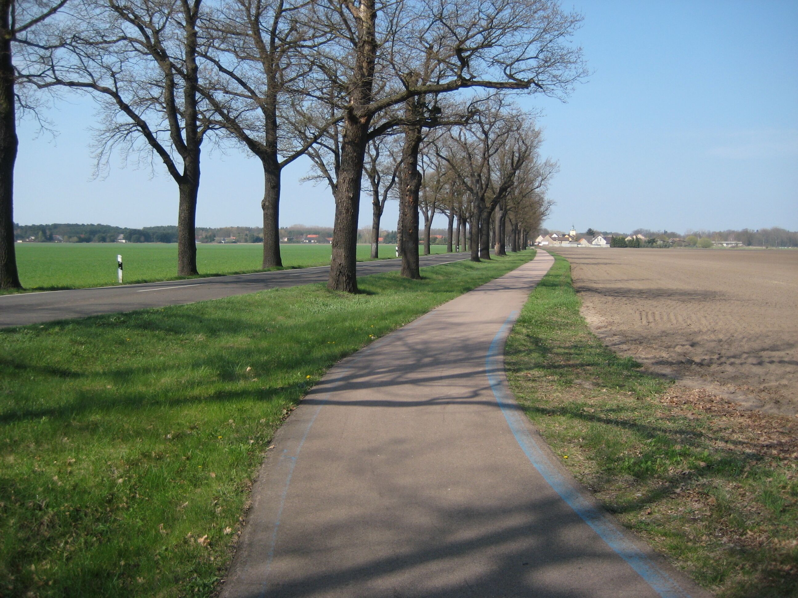 Fläming Skate Strecke S4 bei Stülpe