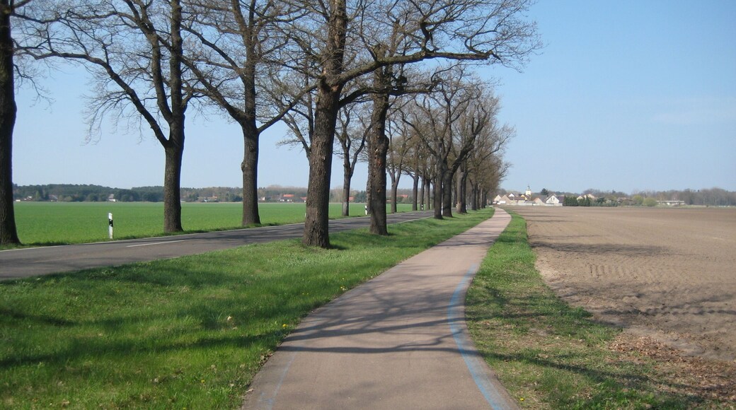 Flรคming Skate Strecke S4 bei Stรผlpe