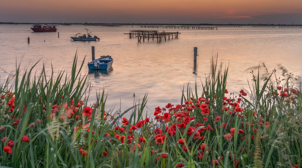 A calm river with boats, a pier, and a field of red poppies in the foreground.