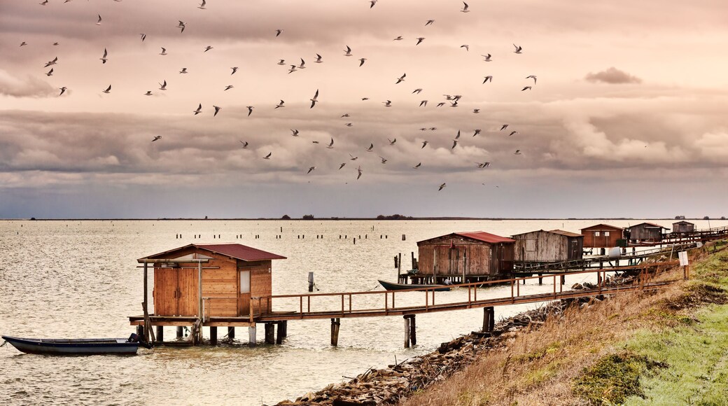 A wooden pier with several small cabins extending into a body of water, a boat docked at the end, and a flock of birds flying overhead.
