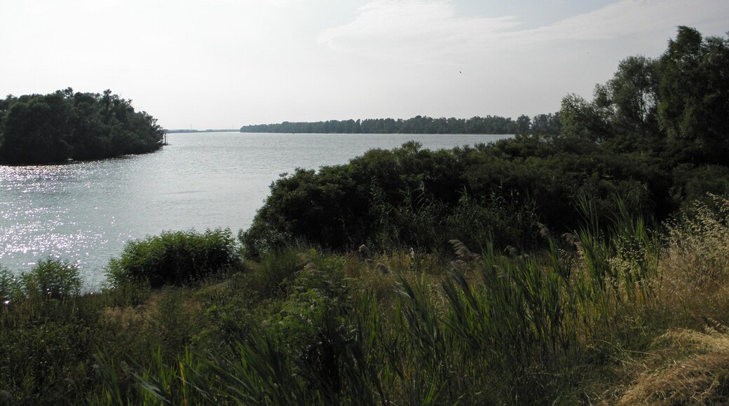 Porto Tolle: il Po di Gnocca in prossimità della sua diramazione dall'alveo principale (Po di Venezia).