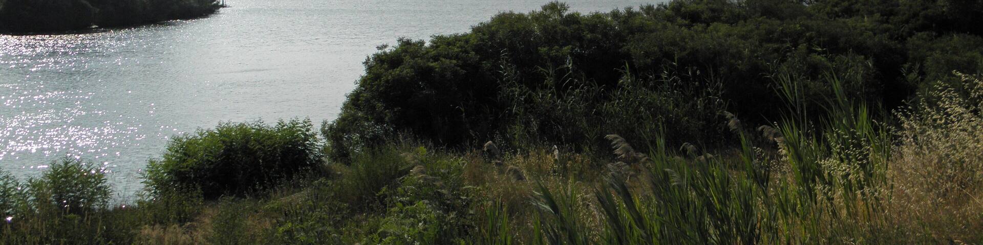 Porto Tolle: il Po di Gnocca in prossimità della sua diramazione dall'alveo principale (Po di Venezia).