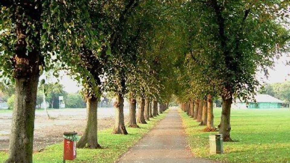 Goodmayes Park. Goodmayes Park is in two distinct halves to the north of Mayesbrook Road it is ornamental and to the south it is given over to sports fields. This picture was taken from the south west corner of the ornamental park.