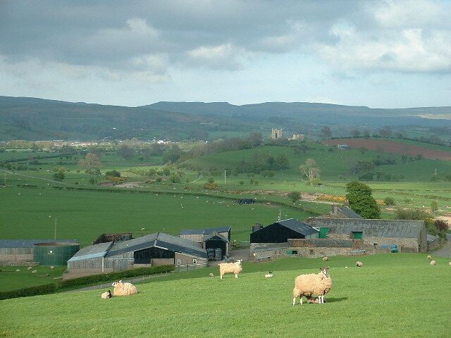 Hall Garth Farm, Great Musgrave, Cumbria. Brough Castle is visible in the background