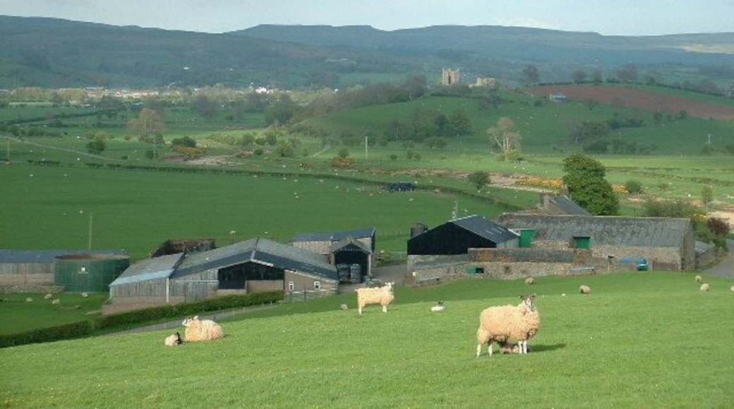 Hall Garth Farm, Great Musgrave, Cumbria. Brough Castle is visible in the background