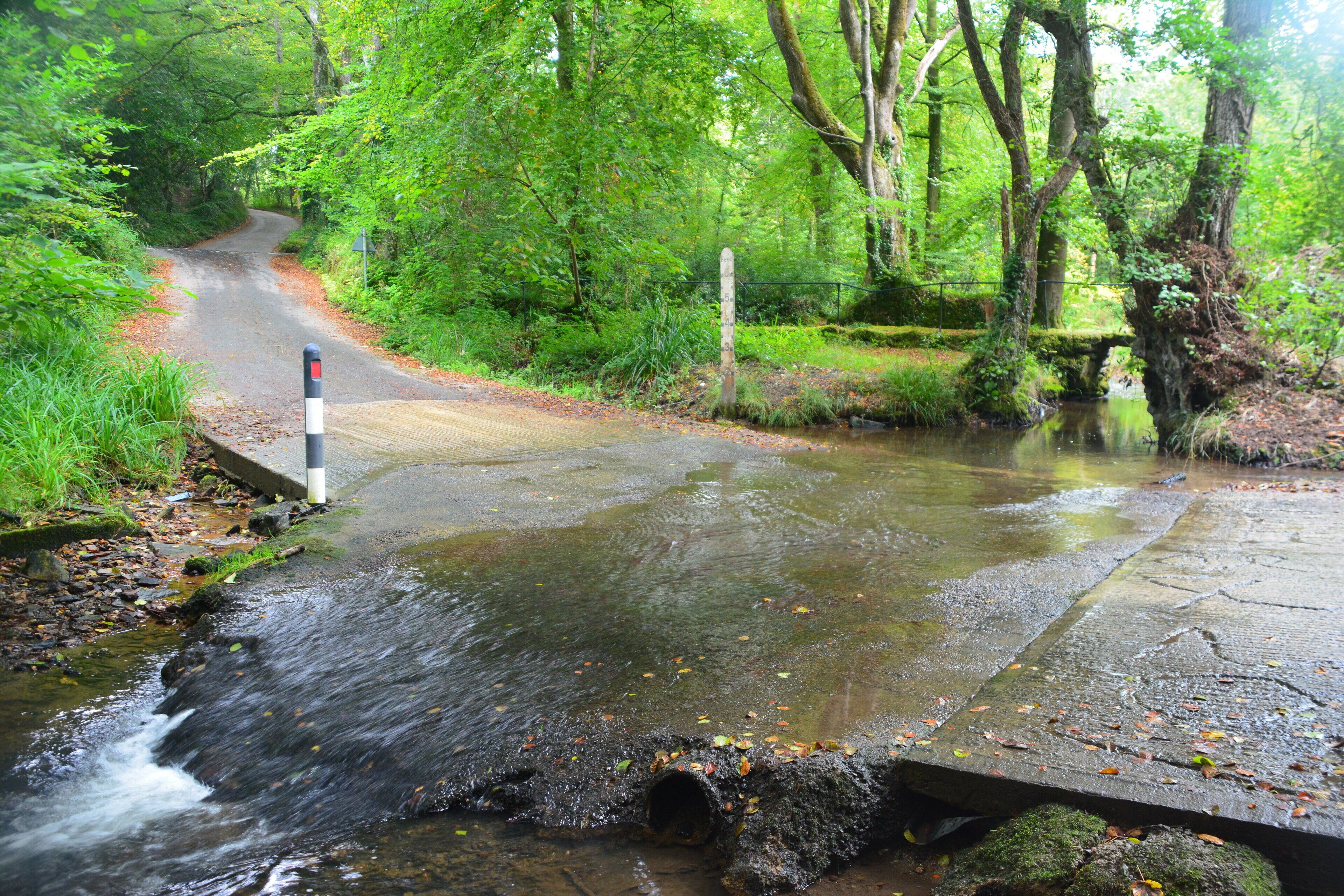 A narrow bridge over a flowing stream in a forested area.