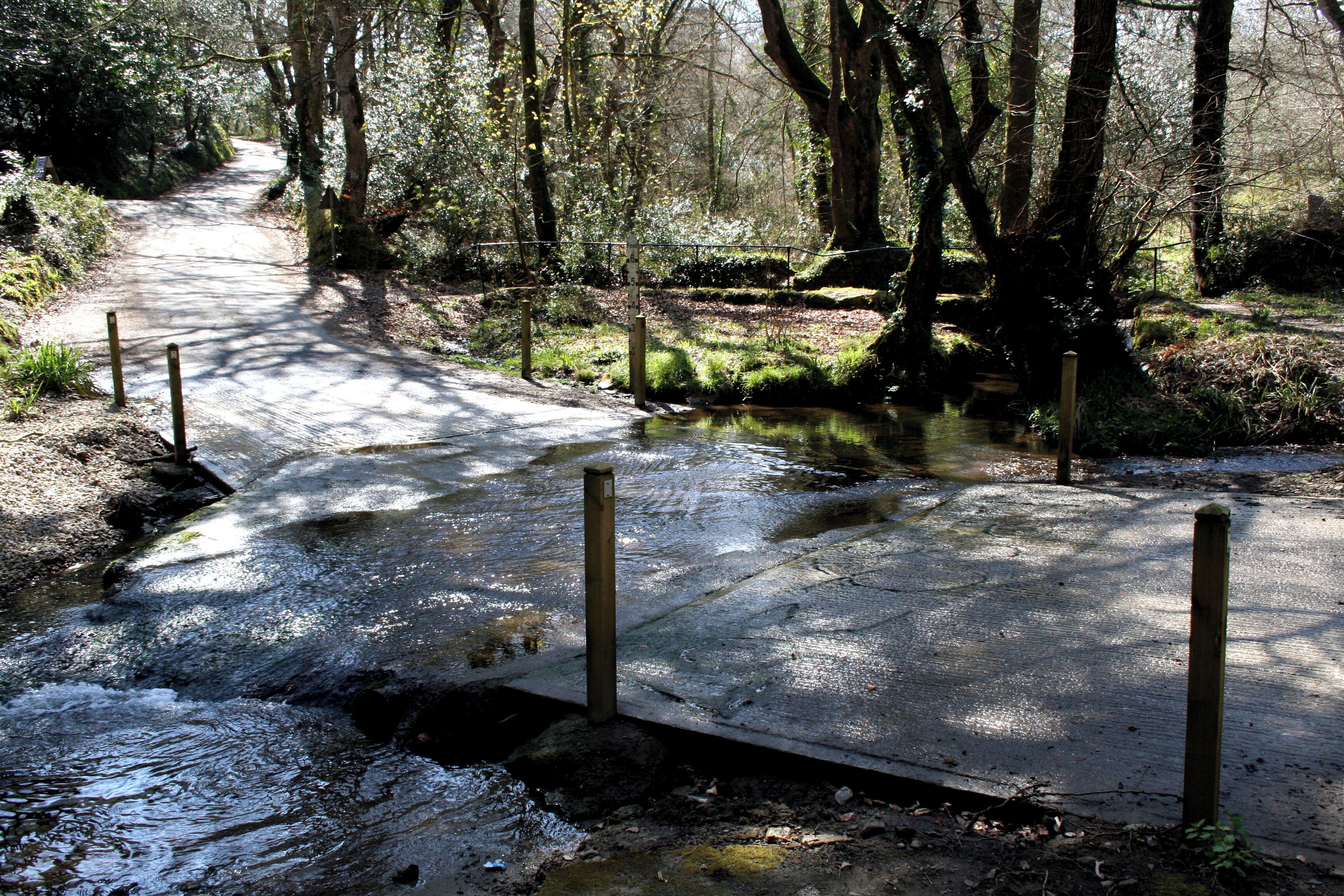 Ford on minor road near Gweek