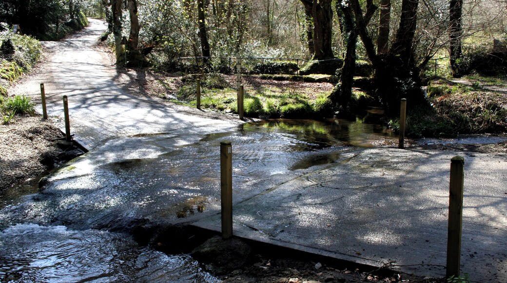 Ford on minor road near Gweek