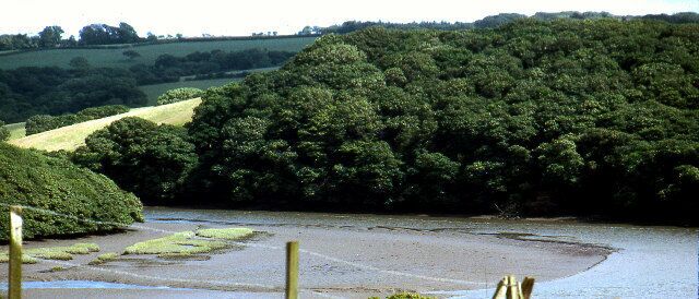 Helford River, near Gweek. View south of the upper reaches of this ria, about 1km downriver from Gweek Quay.
