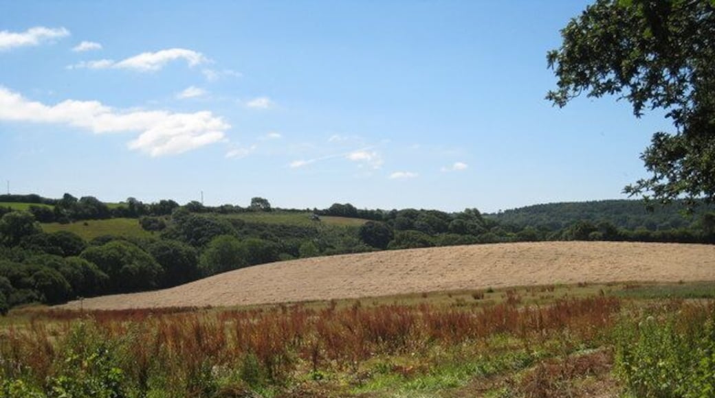 Field at Tolvan Cross