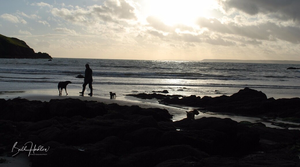 A favourite spot of ours to retreat away from the bustle of life. Always a good meal and Cornish ale at the Hope & Anchor pub.