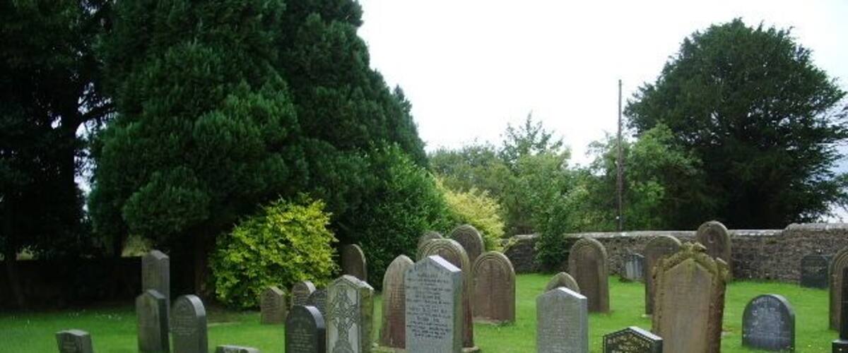 A cemetery with numerous headstones and a large tree in the background.