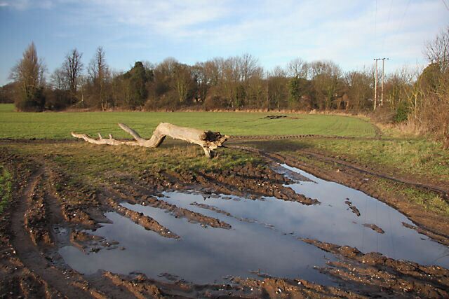 Muddy field entrance This field lies between Herringswell Road and Kennett Church, opposite Kennett Pumping Station.