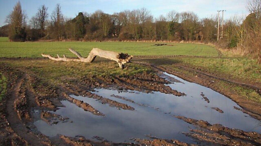 Muddy field entrance This field lies between Herringswell Road and Kennett Church, opposite Kennett Pumping Station.