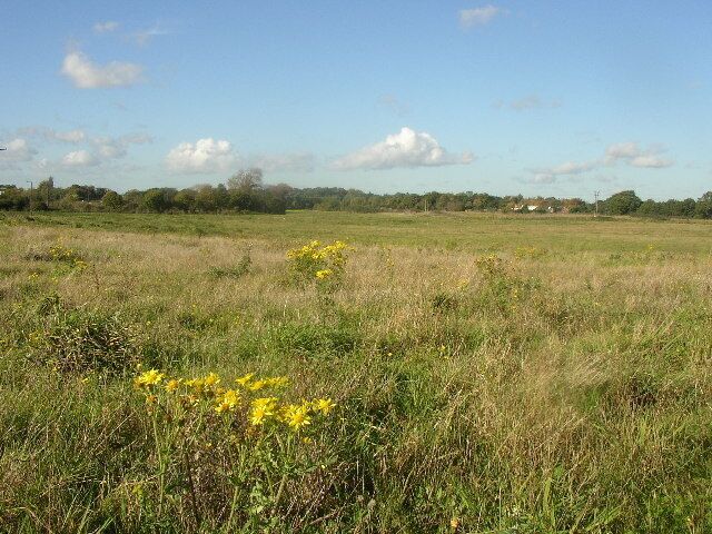 Flood Plain. River Kennett flood plain from the SE corner of the square. Kennett Cottages are visible in the distance