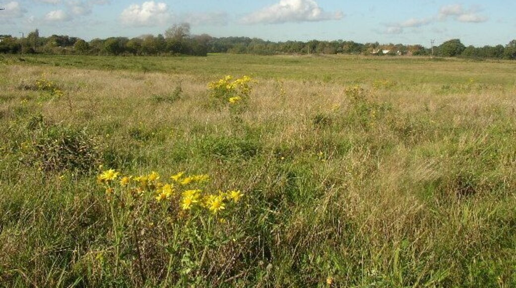 Flood Plain. River Kennett flood plain from the SE corner of the square. Kennett Cottages are visible in the distance