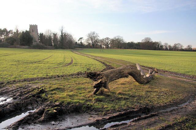 Footpath to Kennett Church This path runs from the Herringswell Road, to the church, which is in the adjacent square.