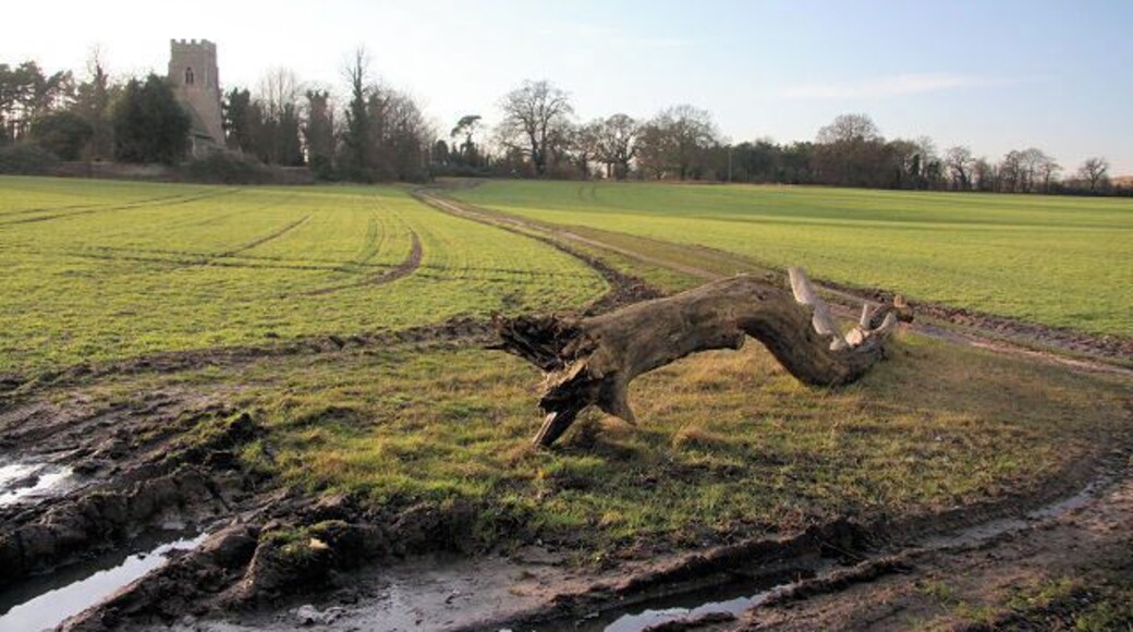 Footpath to Kennett Church This path runs from the Herringswell Road, to the church, which is in the adjacent square.