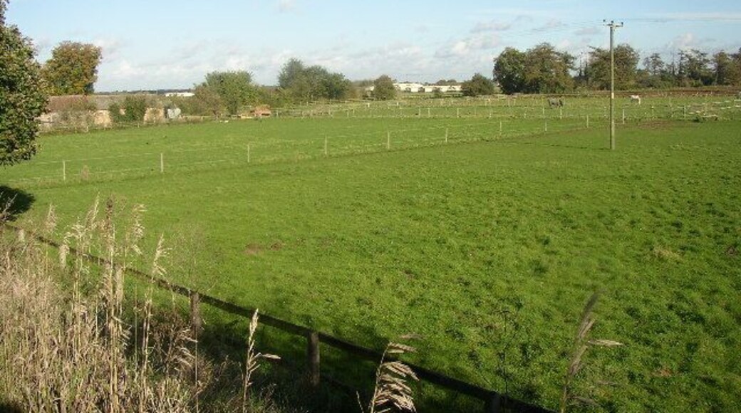 Moorland Stud. Previously known as the Cock & Bull Farm. Looking NE from the Herringwell Rd just north of the Railway Bridge
