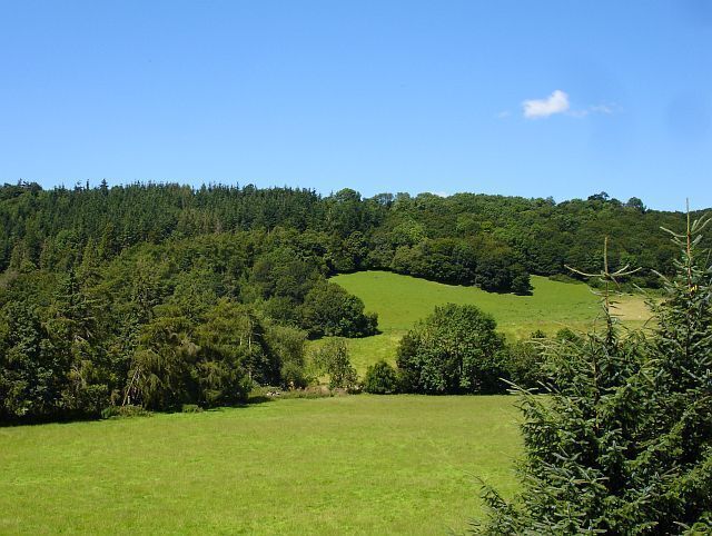 Dolforgan Wood The wooded slope behind Dolforgan Hall, seen from the churchyard.