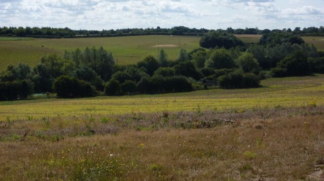 Countryside west of Kersey Looking across the valley. The stream is not named, even on the 1:25,000 map.