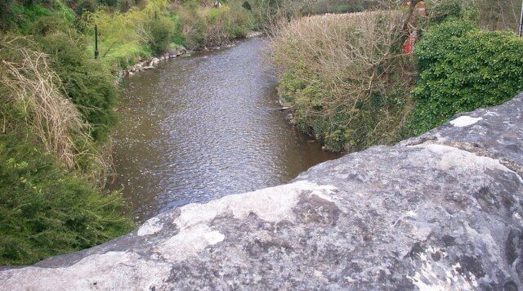 River Taf, Login, Whitland Looking from bridge - you can just see the phonebox on the right.