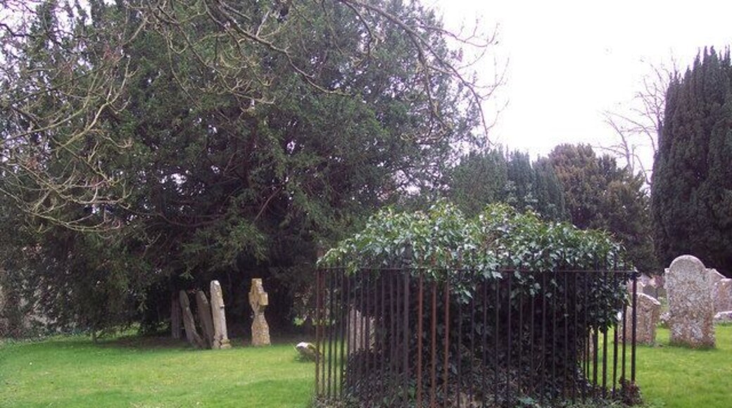 Ivy covered tomb at St Thomas a Becket Church, Tilshead