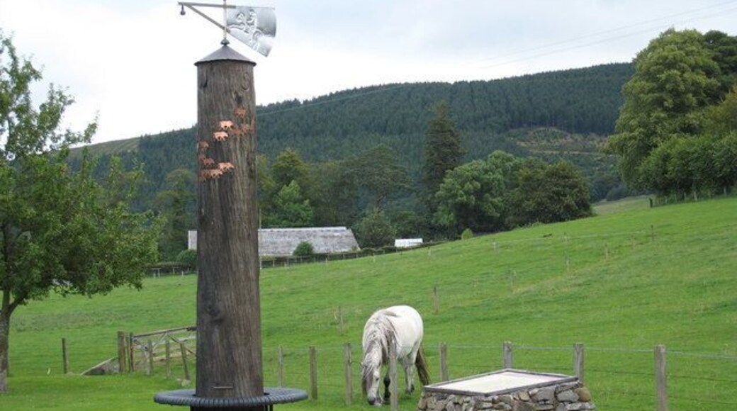 View from the car park in Traquair This photograph was taken from the car park in the small village of Traquair in the Scottish Borders region. It shows an interesting and distinctive weather vane and a horse peacefully grazing in the field beyond the car park. In the background of the picture Taniel Hill and Taniel Burn Wood can be seen. The Southern Upland Way, a long distance footpath, passes by the car park as it makes its way from Dumbetha Knowe to Blake Muir.