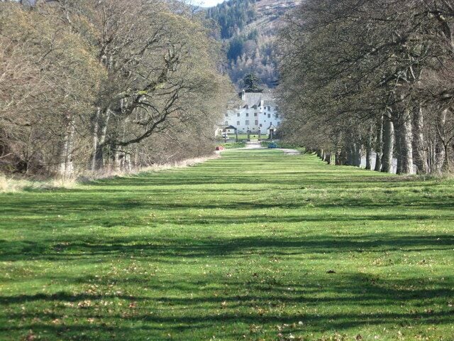 The tree-lined avenue at Traquair House. The drive has grassed over and will not be 'ungrassed' and a new drive laid until a Stuart king comes to visit.