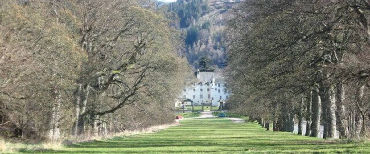 The tree-lined avenue at Traquair House. The drive has grassed over and will not be 'ungrassed' and a new drive laid until a Stuart king comes to visit.
