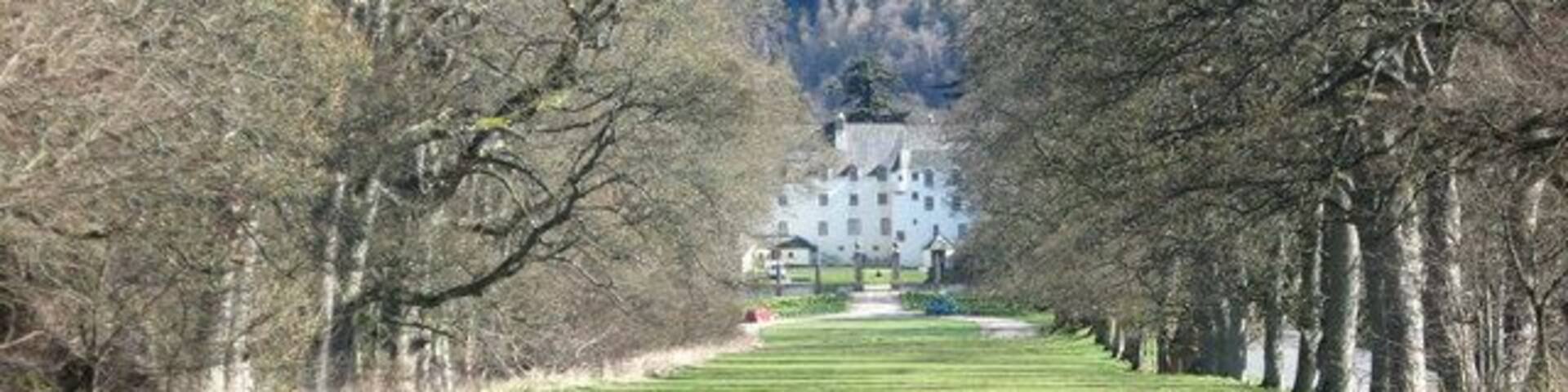 The tree-lined avenue at Traquair House. The drive has grassed over and will not be 'ungrassed' and a new drive laid until a Stuart king comes to visit.