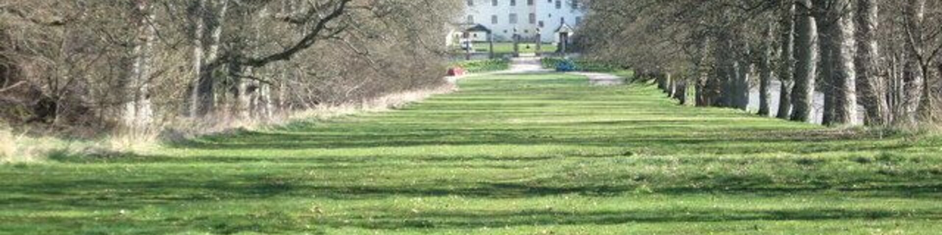 The tree-lined avenue at Traquair House. The drive has grassed over and will not be 'ungrassed' and a new drive laid until a Stuart king comes to visit.