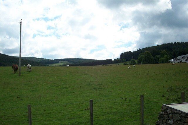 A green field with a stone wall and a wooden fence.