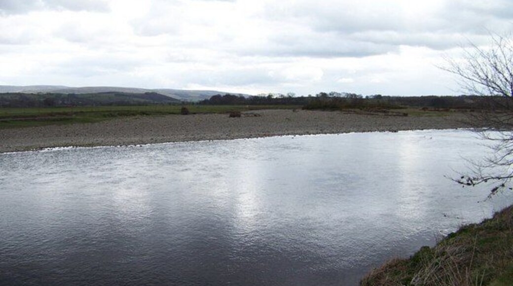 Island in the Lune Evidence of dead trees left high on the pebbles shows that in full flow the river does take the short cut to make an island of the land in the mid-right of the photograph. The river on this day was low(ish).