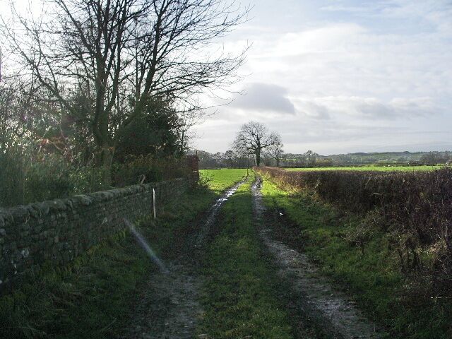 Muddy track, Tunstall