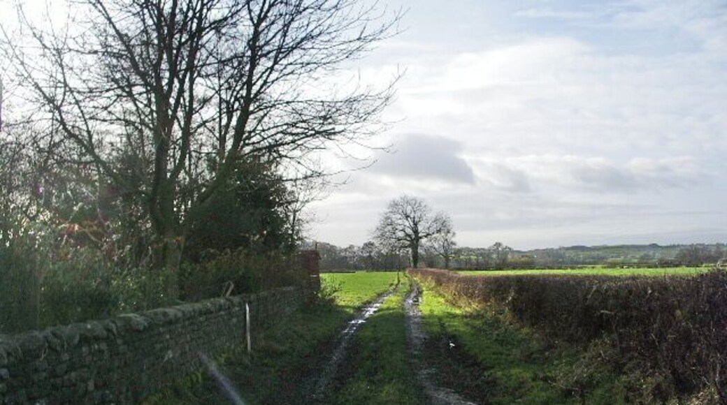 Muddy track, Tunstall