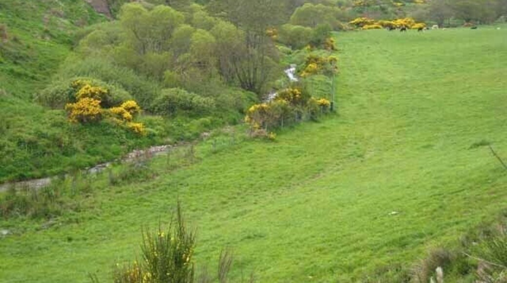 The Dour Glen Looking upstream.