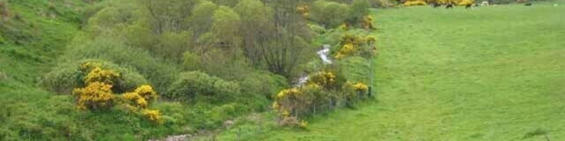 The Dour Glen Looking upstream.