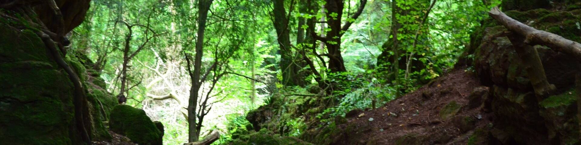 Amazing natural place to visit in the Forest of Dean. Several movies have been filmed here inc Harry Potter