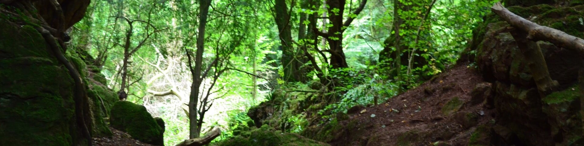 Amazing natural place to visit in the Forest of Dean. Several movies have been filmed here inc Harry Potter