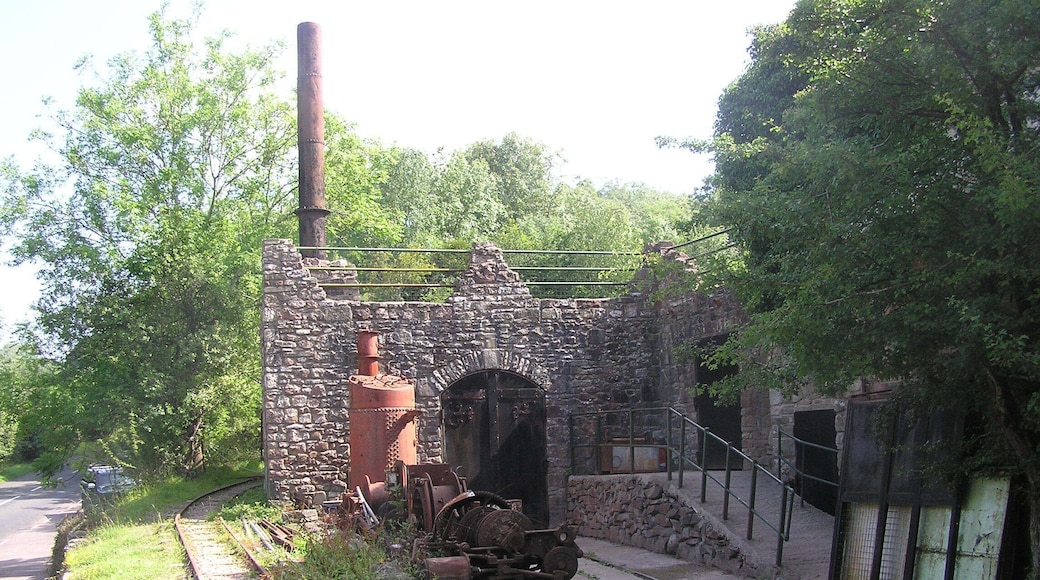 Tracks passing and into Clearwell Caves - July 2011