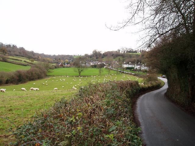 Un camino rural serpentea por un paisaje verde con ovejas pastando en los campos.
