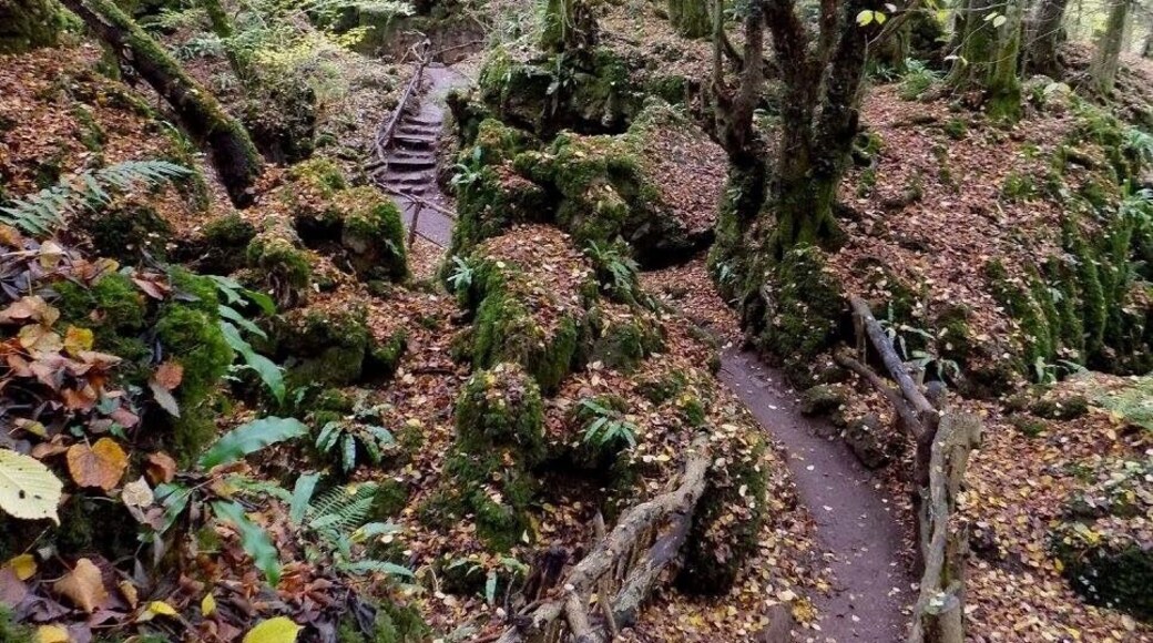 Puzzlewood, Gloucestershire, England, UK.
#UK #UnitedKingdom #GreatBritain #England #GetOutside #Outdoors #Nature #MotherNature #Explore #Adventure #Autumn #Fall #Hiking #Walking #ForestOfDean #WyeValley #ForestryCommision #AONB