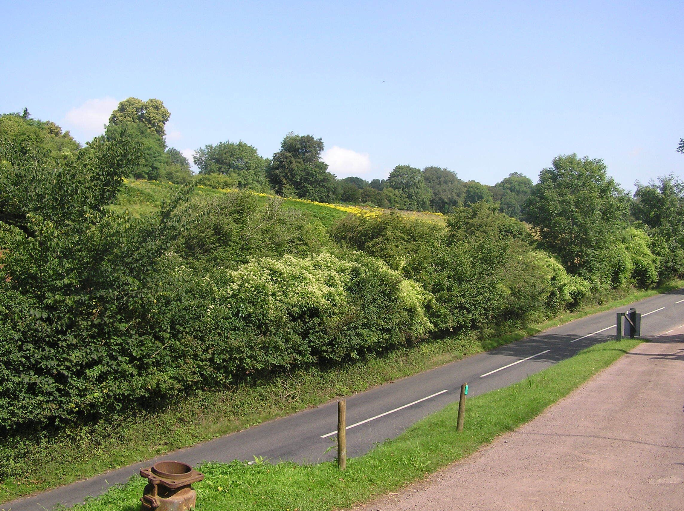 The road passing Clearwell Caves - July 2011