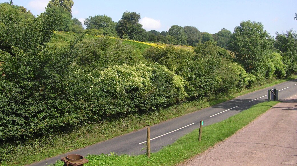 The road passing Clearwell Caves - July 2011
