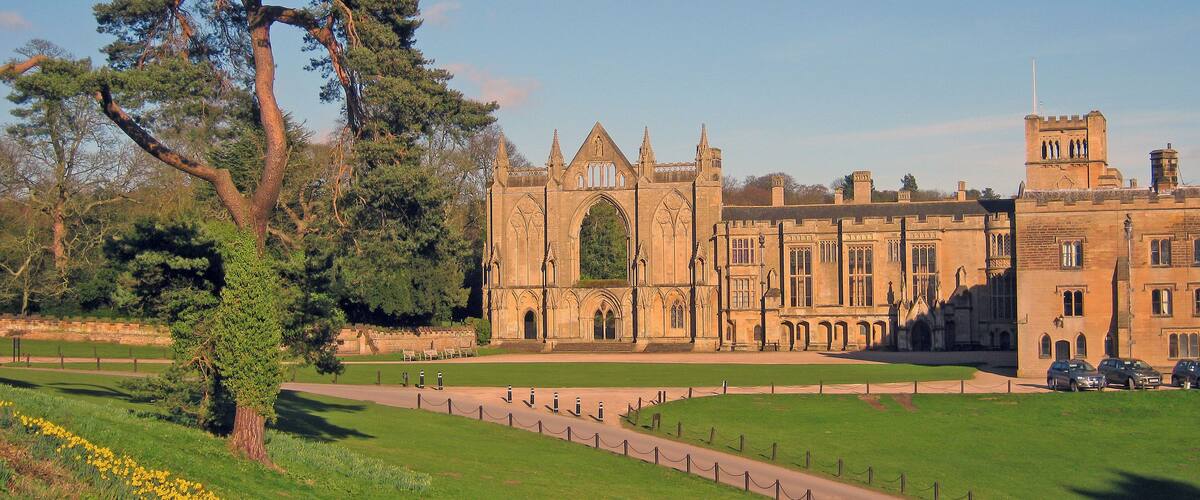 Daffodils at Newstead Abbey - 2