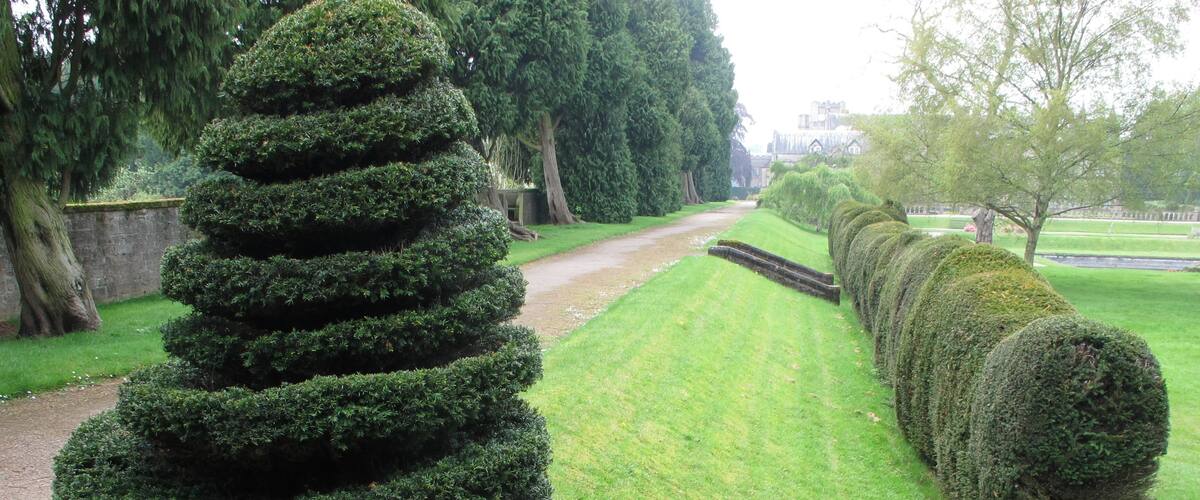 Serpentine topiary, Newstead Abbey