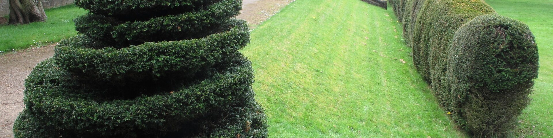 Serpentine topiary, Newstead Abbey